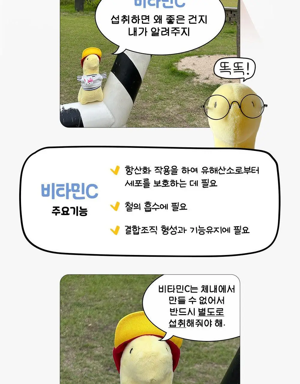 [1일 섭취량의 250%]네추럴라이즈 우주먼지 데일리 비타씨 플러스 (20일분) 상세페이지 12